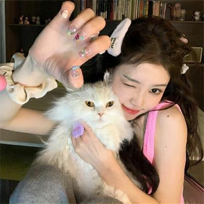 大湾仔的夜第二季